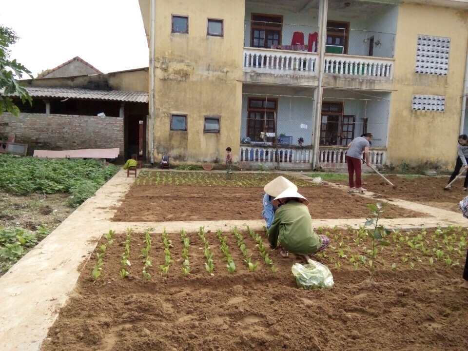 Đổ đất san bằng các ô vườn để trồng rau sạch